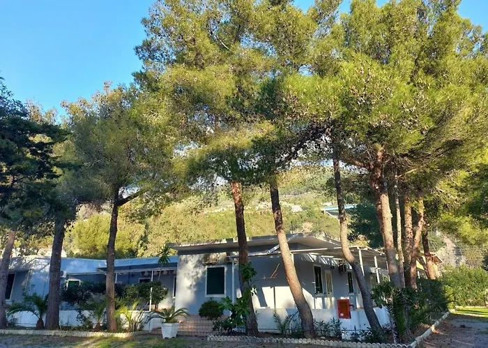 International Camping Village