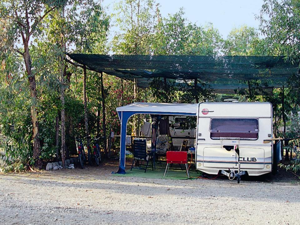 International Village