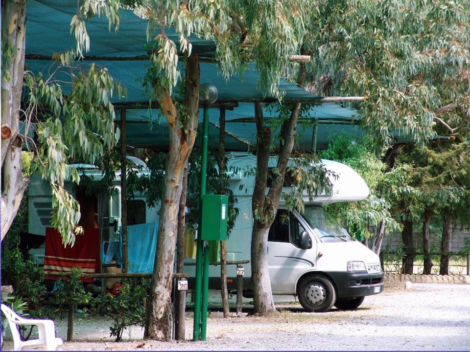 International Village