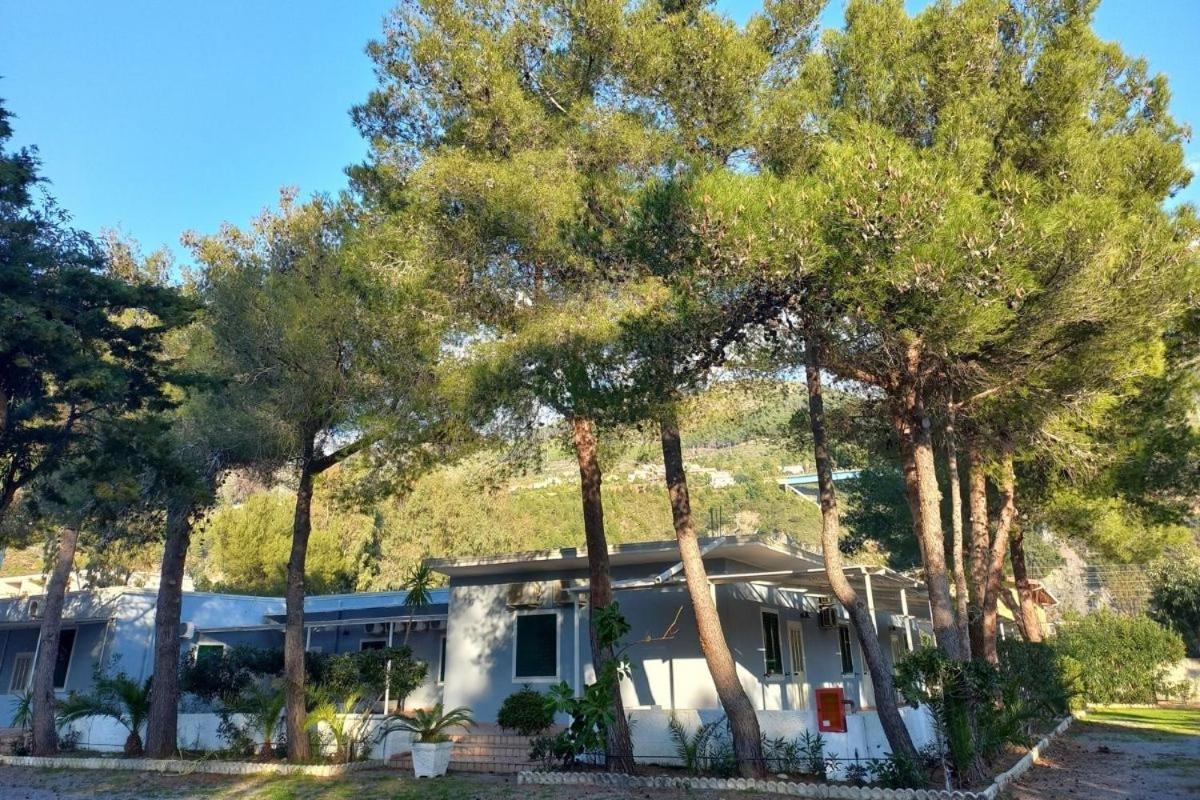 International Village Campsite