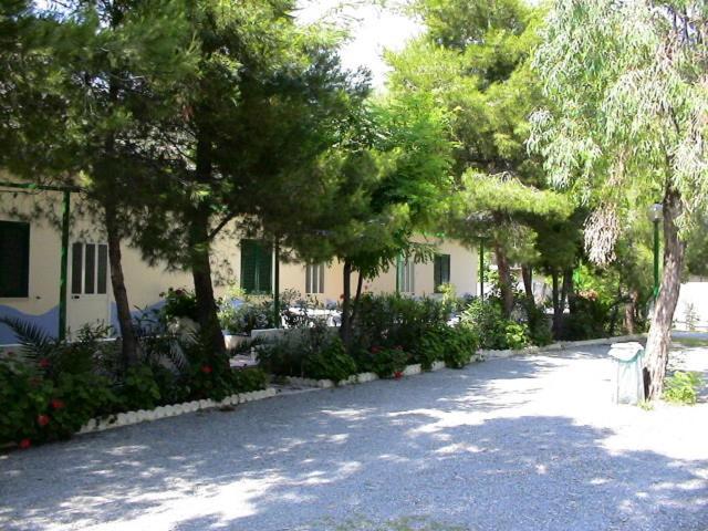 Campsite International Village Praia a Mare